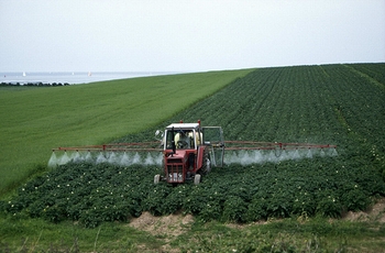 pesticides ranking