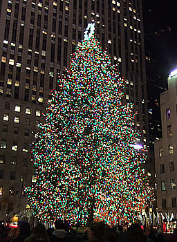 rockefeller tree 2009