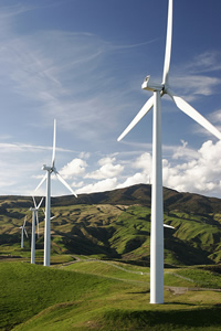 Carbon Footprint