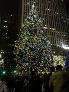 Eco Tree