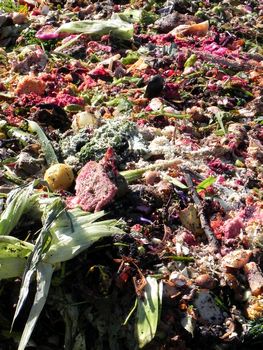 food waste