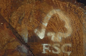 FSC