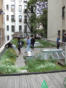 Open House NY