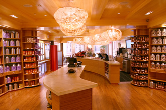 T Salon
