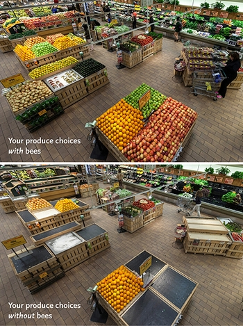 WholeFoodsMarket Bees